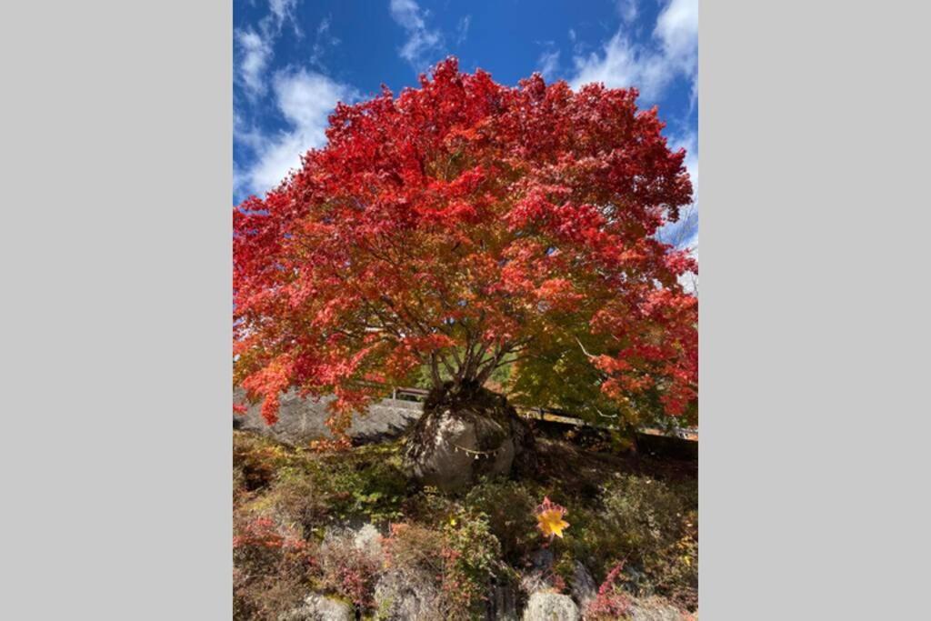花緑里-Hanamidori-乙原のやど 岐阜下呂温泉郡上飛騨金山湖畔リゾート Gujō Exterior foto